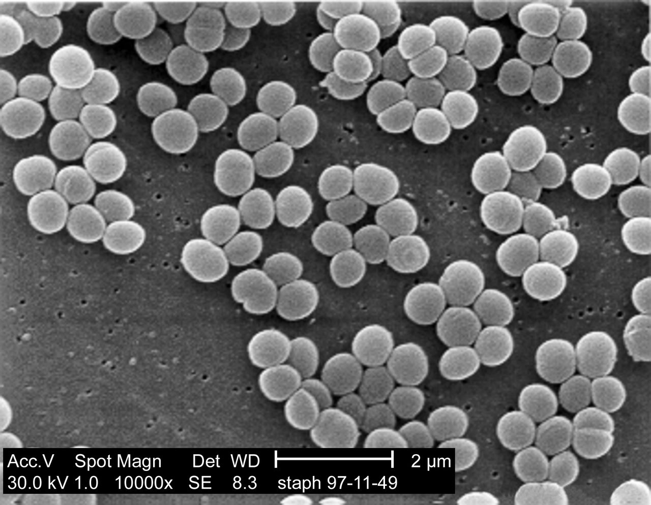 科学ニュースの森                cre