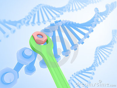 gene mutation