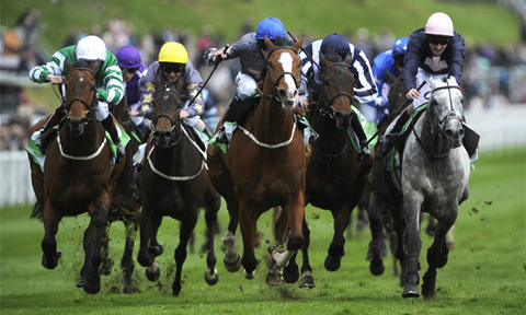 horse-racing