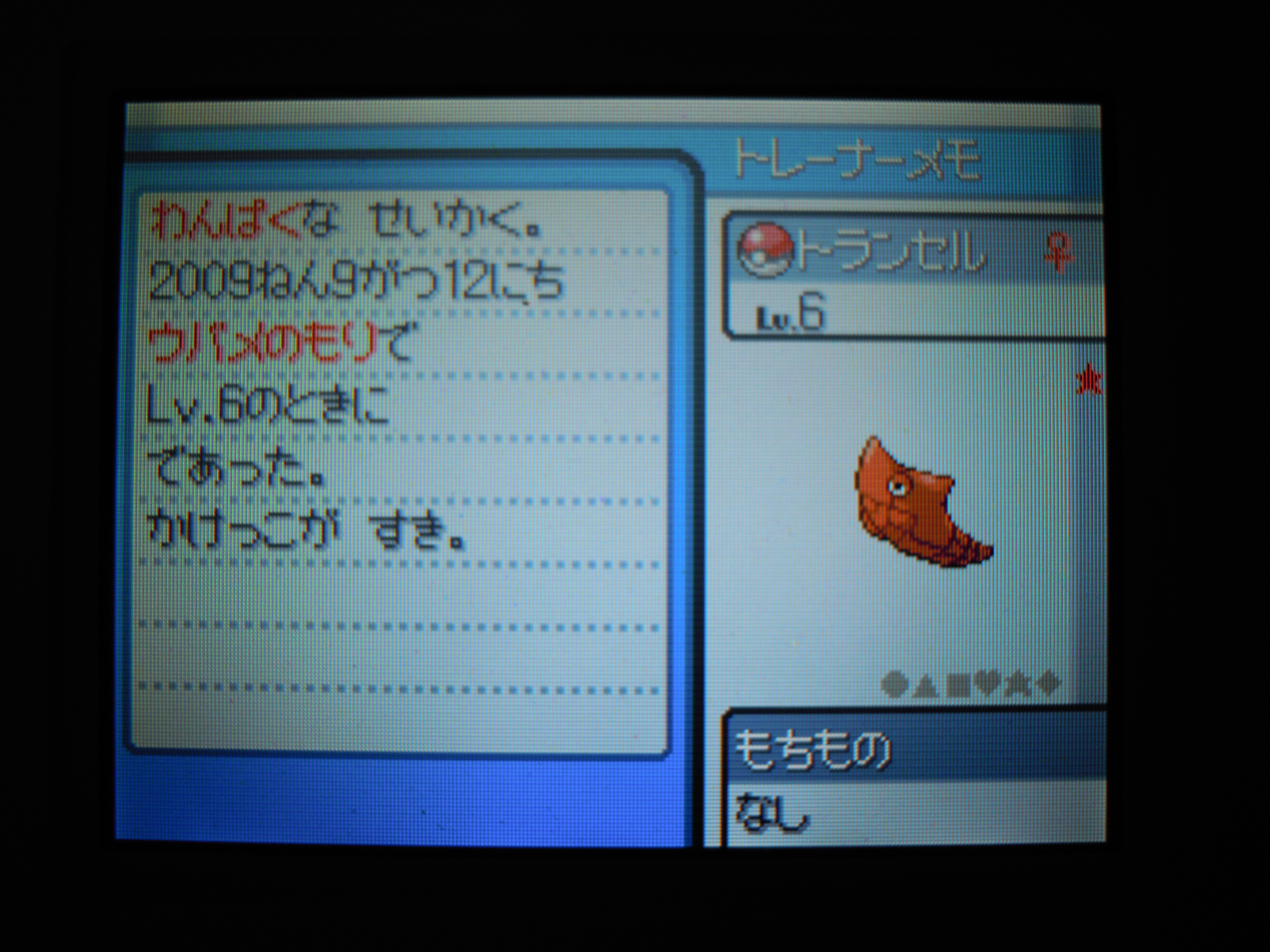 ポケモン ハートゴールド買ってきた ぜの S ぷれぜんつ