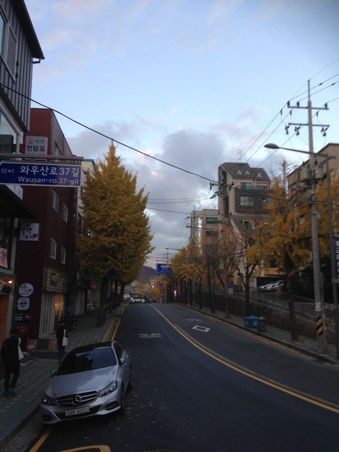 20151113_3396