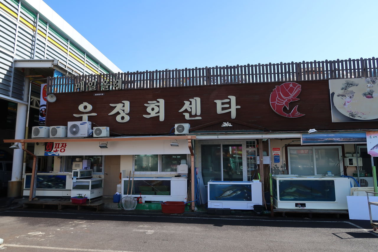 えりちーのブログ～韓国留学記～                えりちー