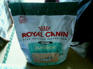 ROYAL CANIN MINI junior