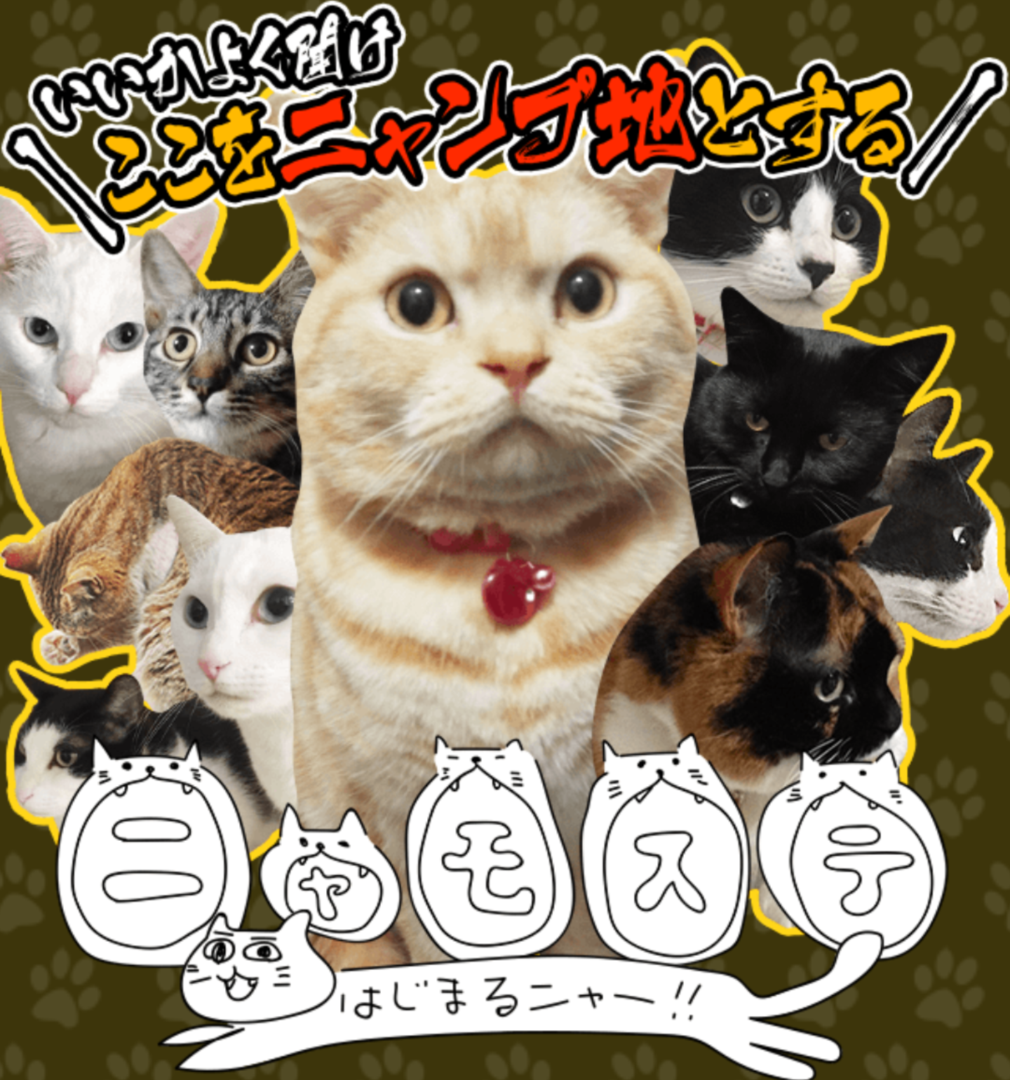 雑記 ネコを崇めよ サモンズボード 賢人会議室 仮