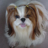 ��ζ�ץ��ե�������