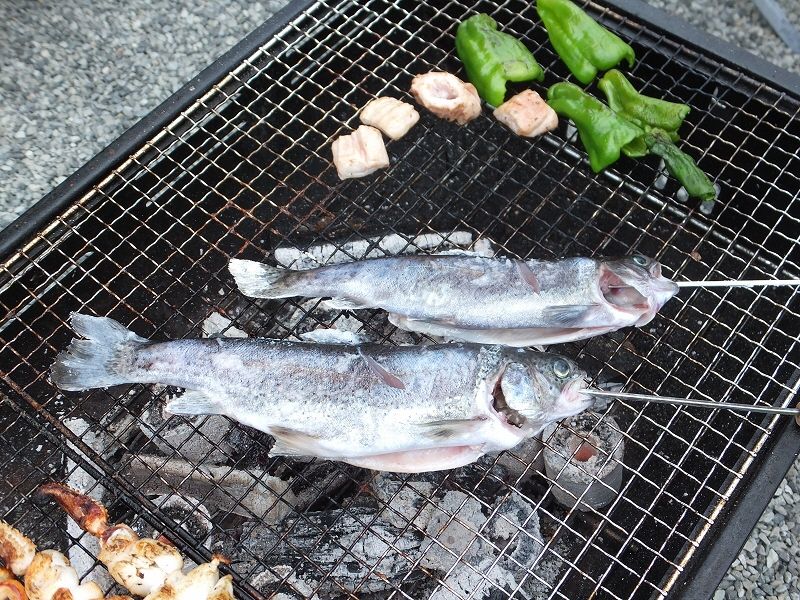 裾野フィッシングパーク へ行って来た 3匹 持ち帰り バーベキュー で焼いた ここは 日本 Xiexie 足柄sa の 夜間管理人 やってま す の記録