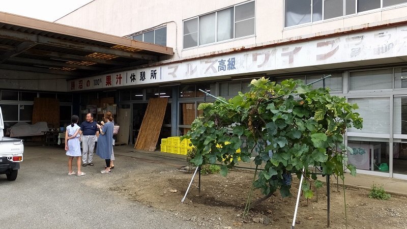 紅葉 と 愛 と 妻 に せがまれて ぶどう狩り に行って来た ここは 日本 Xiexie 足柄sa の 夜間管理人 やってま す の記録 紅葉 と 愛 と 妻 に せがまれて ぶどう狩り に行って来た ここは 日本 Xiexie 足柄sa の 夜間管理人 やってま す の記録