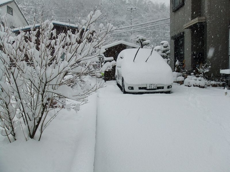 こちら 「浜松」 は 雨 ・・・ 「小山」 （自宅付近） は 大雪