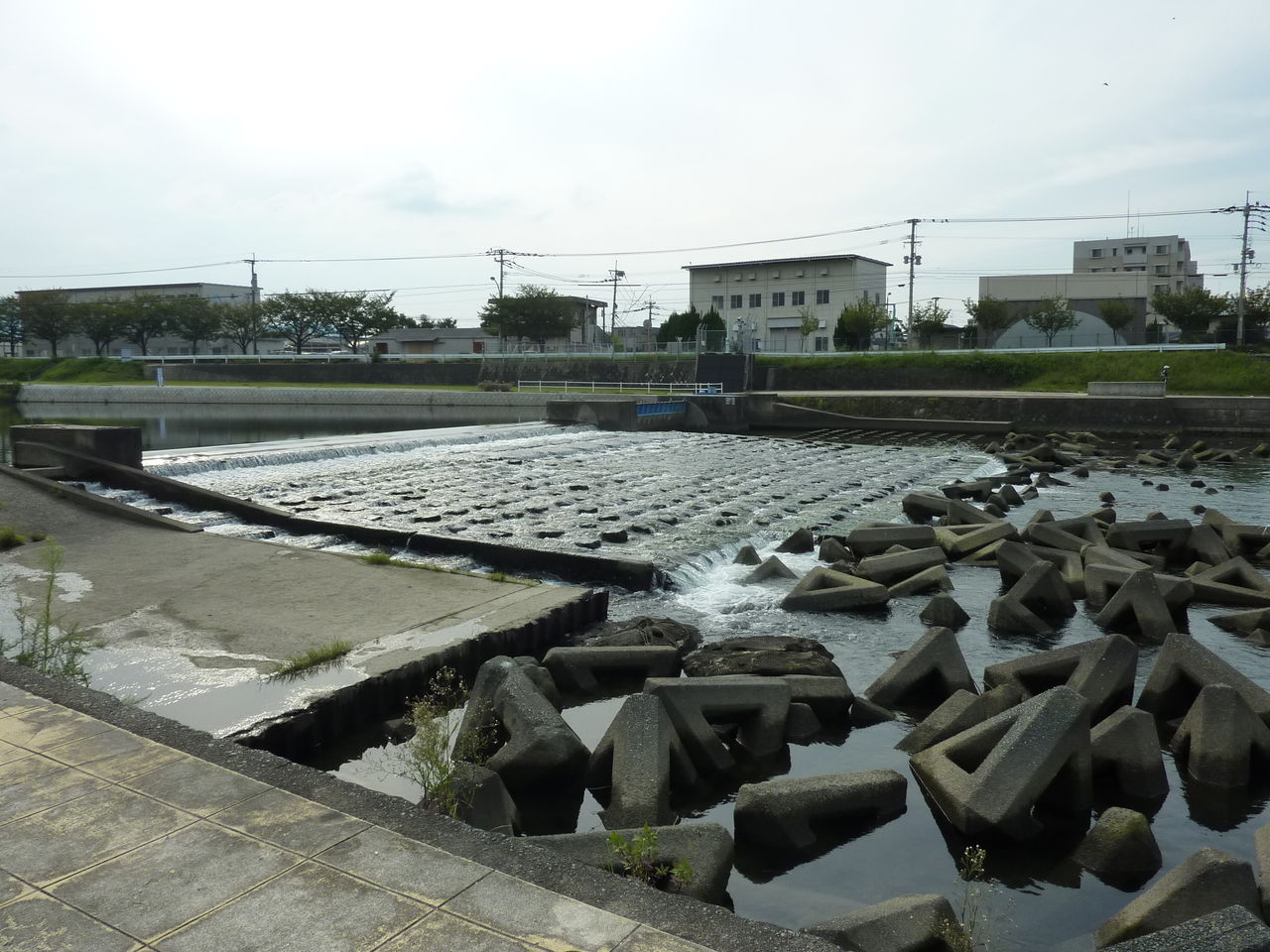 室見川 西新 百道浜巡り ウェブログ 室見川 西新 百道浜巡り ウェブログ