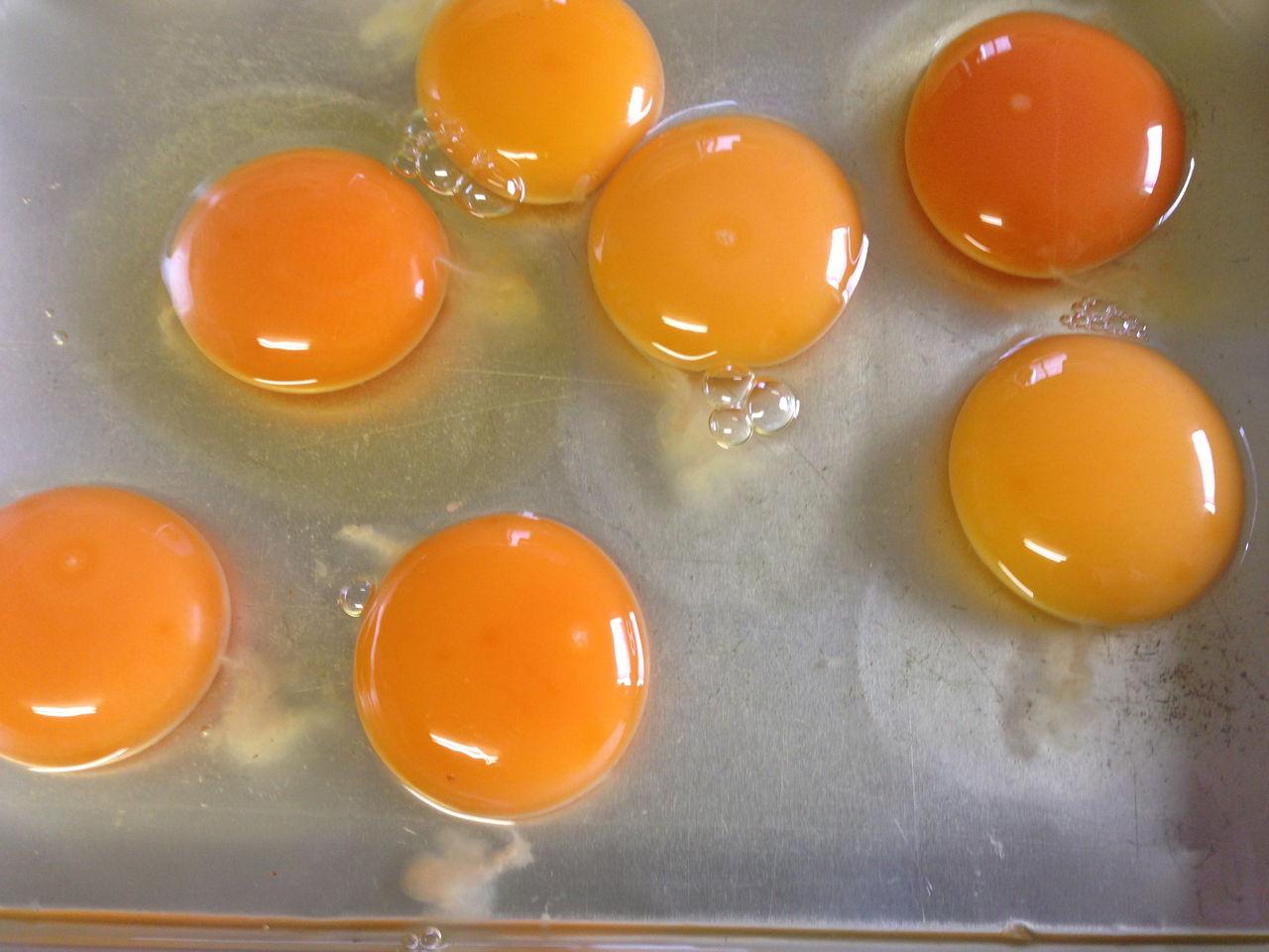 季節によって黄身の色が変わらないようにするのも簡単で難しい : 醤油と卵の探究をする鬼