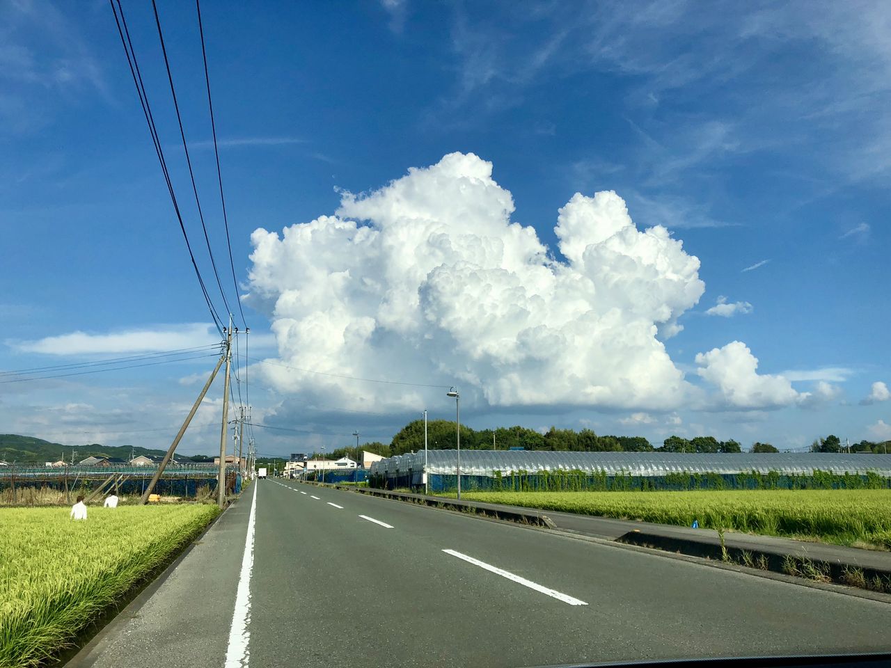 圧倒的な入道雲は夏を感じさせる 夏の代名詞的な存在 卵 入道雲 夏 醤油と卵の探究をする鬼