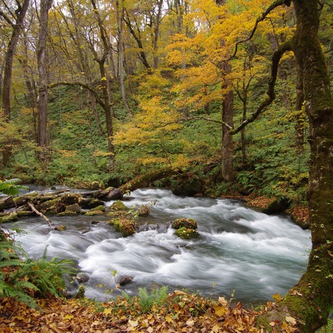 A_IMGP9512