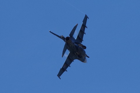 A_IMGP5694