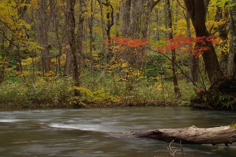 A_IMGP9558