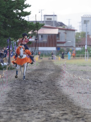A_IMGP8431