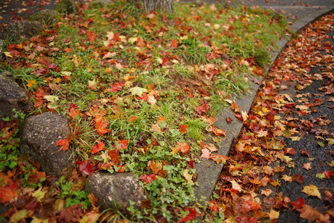 DSC02285