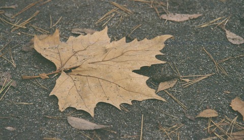 A_FH000016