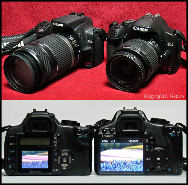 ダブル キッス 8r Blog