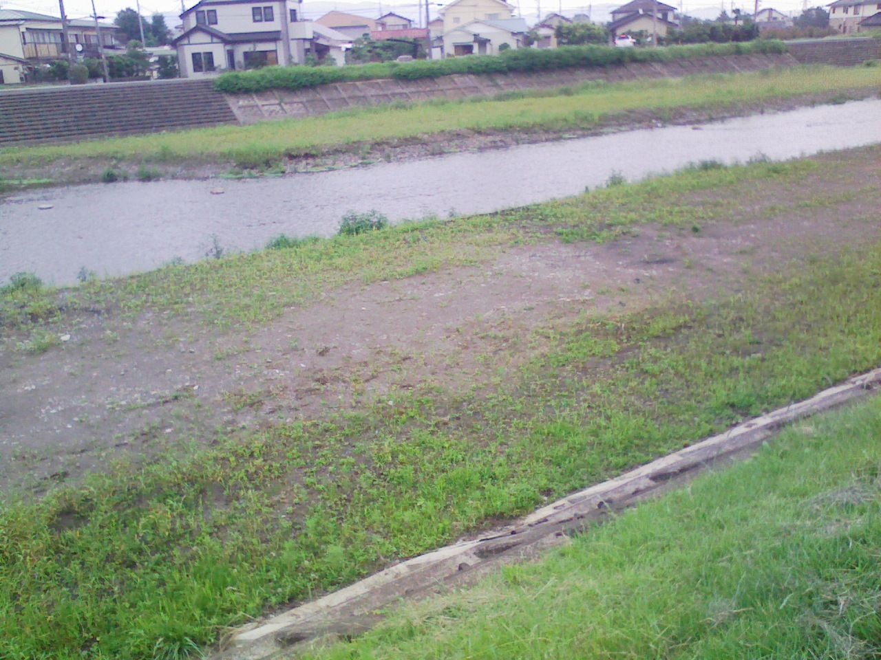 行政(南足柄市?神奈川県?国?)による大量虐殺 : おーい、トム ...