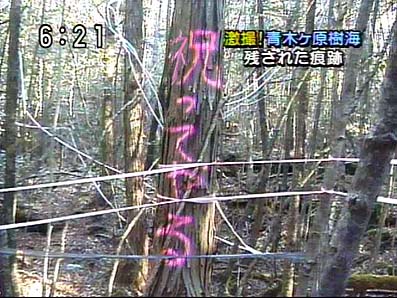 20080311033709
