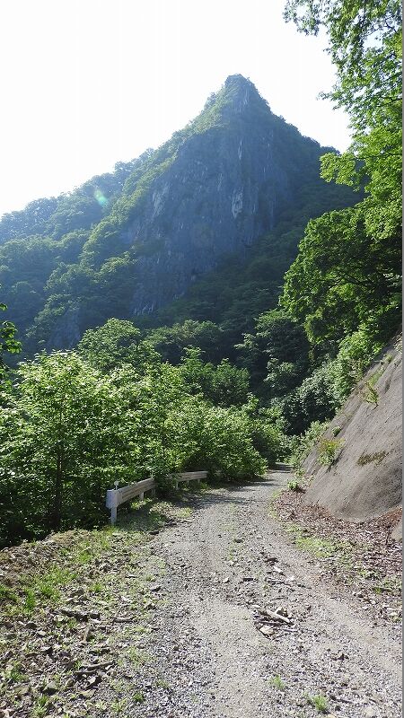 DSCN0808