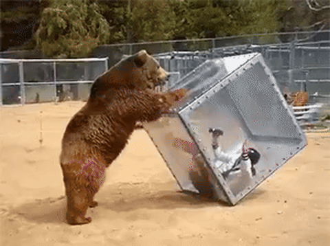 006-ezgif.com-video-to-gif-converter