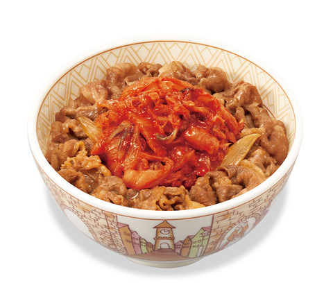 photo_gyudon_100500