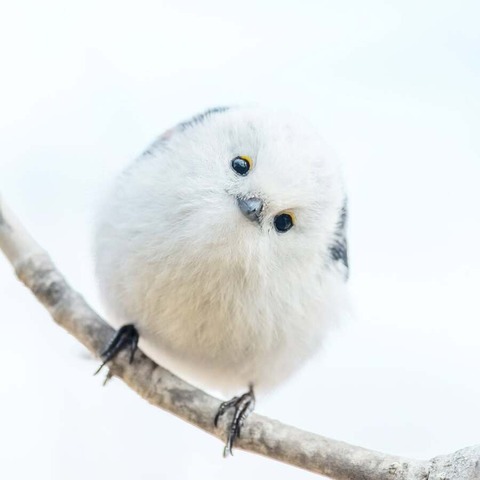 002