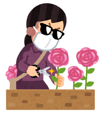 flower_hana_dorobou