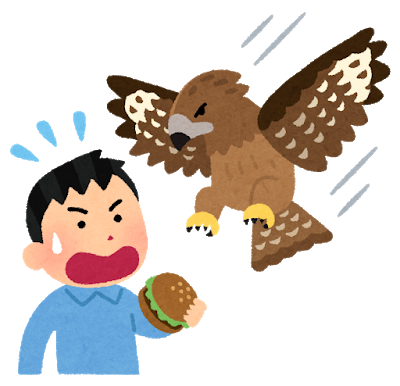 bird_tonbi_jiko
