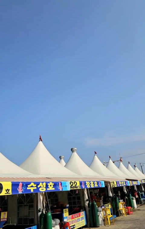 900＿20250529＿163120