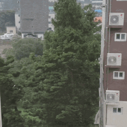 台風9号メイサークさん 2日18時で950hpaにパワーダウン 3日0時に朝鮮半島上陸か かんにゅー 韓国の反応 台風9号メイサークさん 2日18時で950hpaにパワーダウン 3日0時に朝鮮半島上陸か かんにゅー 韓国の反応