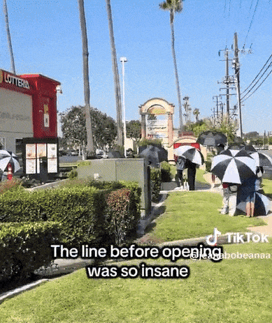 0002513427_002_20250812160008422