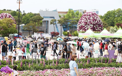 ハンピョン蝶大祭り
