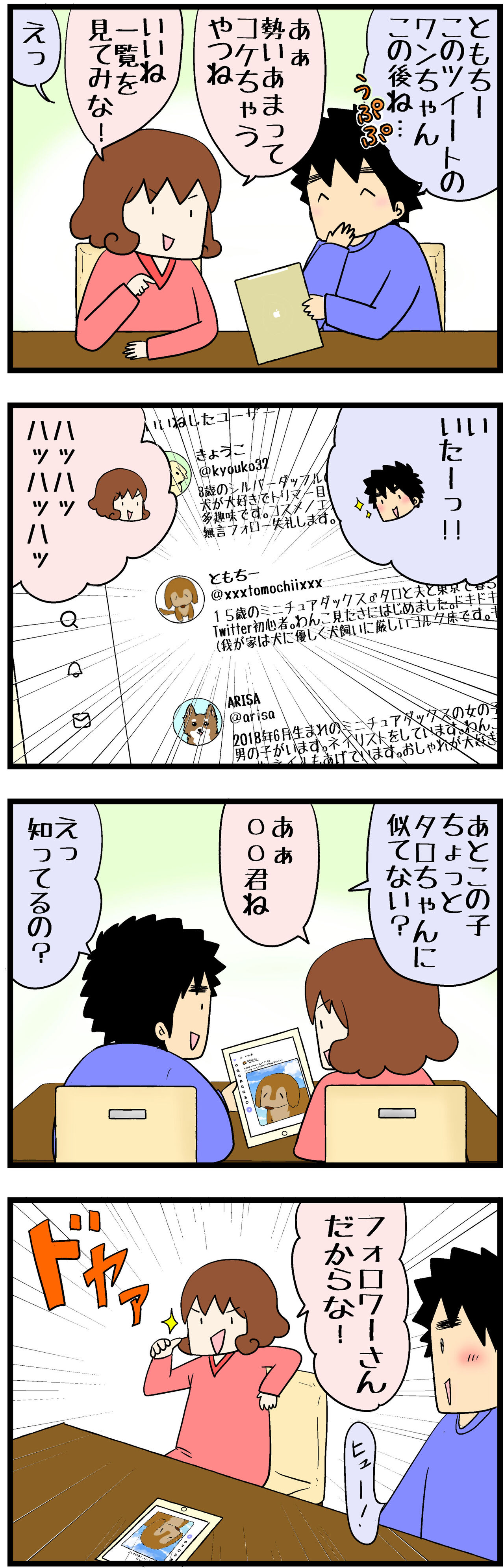 Twitterはじめて2年経過しました タロちゃん家