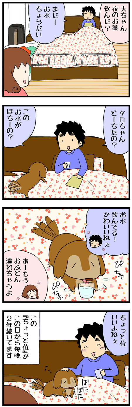 taroinu204