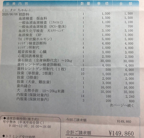 抜歯金額