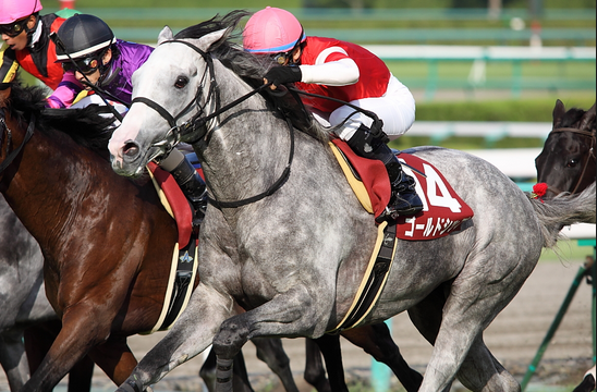 競馬 第54回宝塚記念 13 2chまとめ Part2 エッジ競馬 競馬 第54回宝塚記念 13 2chまとめ Part2 エッジ競馬