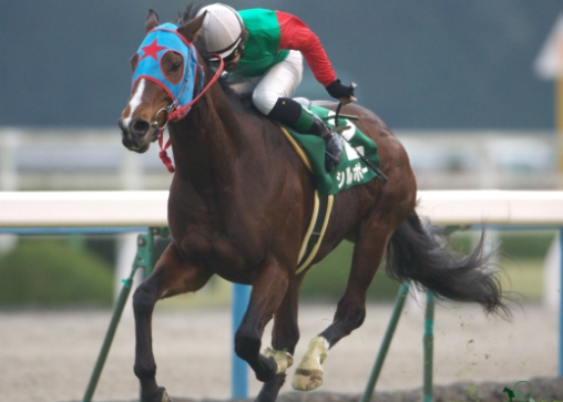 宝塚記念 13 2chまとめpart4 競馬 エッジ競馬 宝塚記念 13 2chまとめpart4 競馬 エッジ競馬