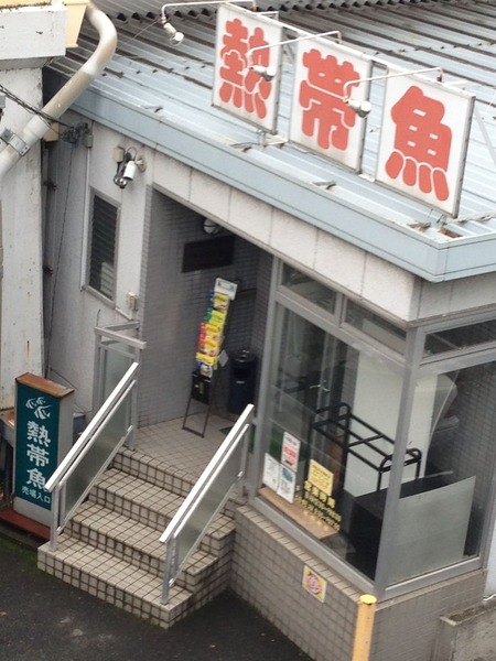 市ヶ谷の熱帯魚店