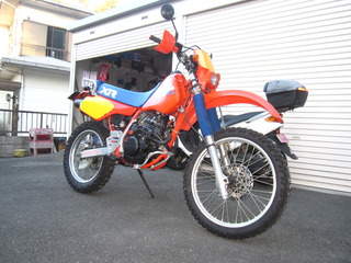 2019年走り初め (3)