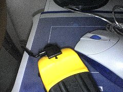 �����֤���³��