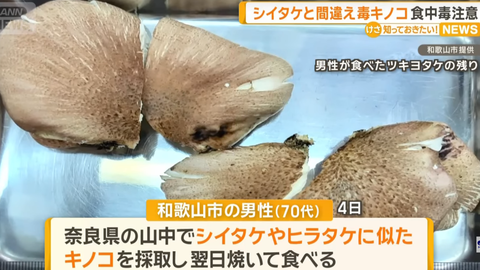 スクリーンショット 2025-08-27 083019