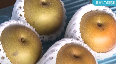 スクリーンショット 2025-07-16 093756