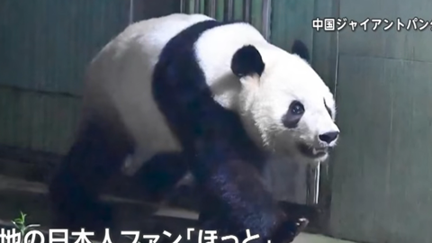 スクリーンショット 2025-08-27 083019