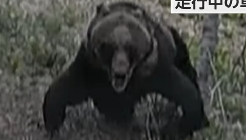 スクリーンショット 2025-07-16 093756