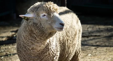 スクリーンショット 2025-07-16 093756