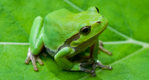 スクリーンショット 2025-08-27 083019