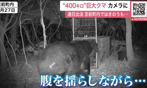 スクリーンショット 2025-04-20 095838