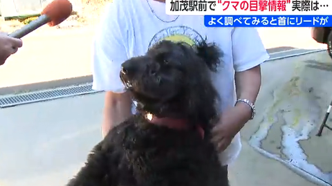 スクリーンショット 2025-10-08 092756